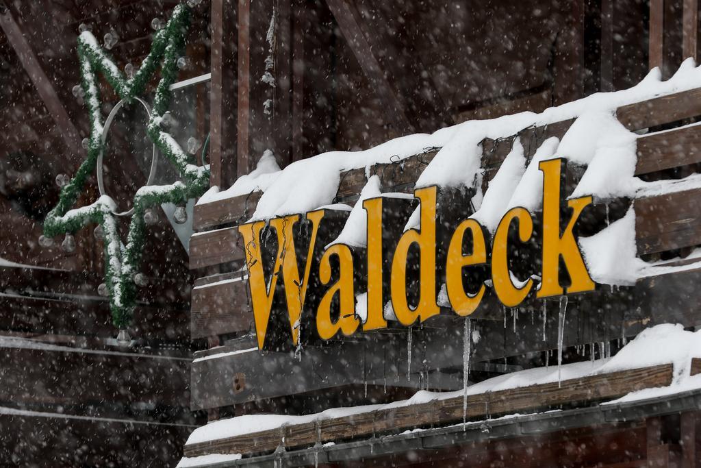 Gaestehaus Waldeck Titisee-Neustadt Dış mekan fotoğraf