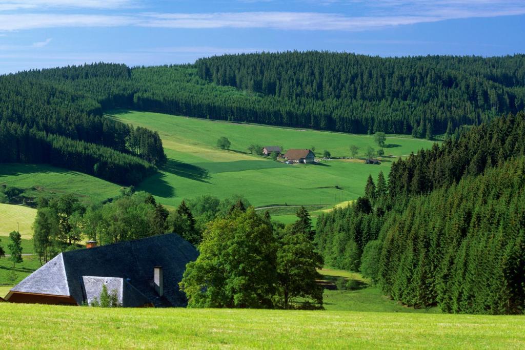 Gaestehaus Waldeck Titisee-Neustadt Dış mekan fotoğraf