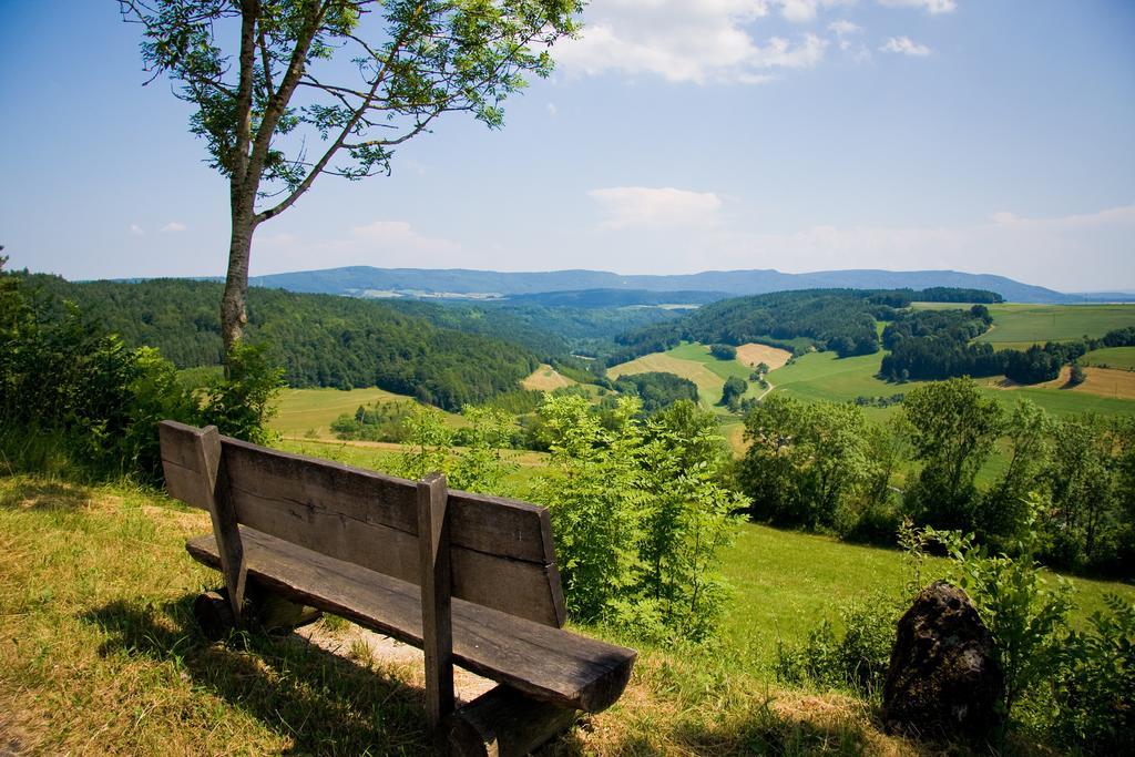 Gaestehaus Waldeck Titisee-Neustadt Dış mekan fotoğraf